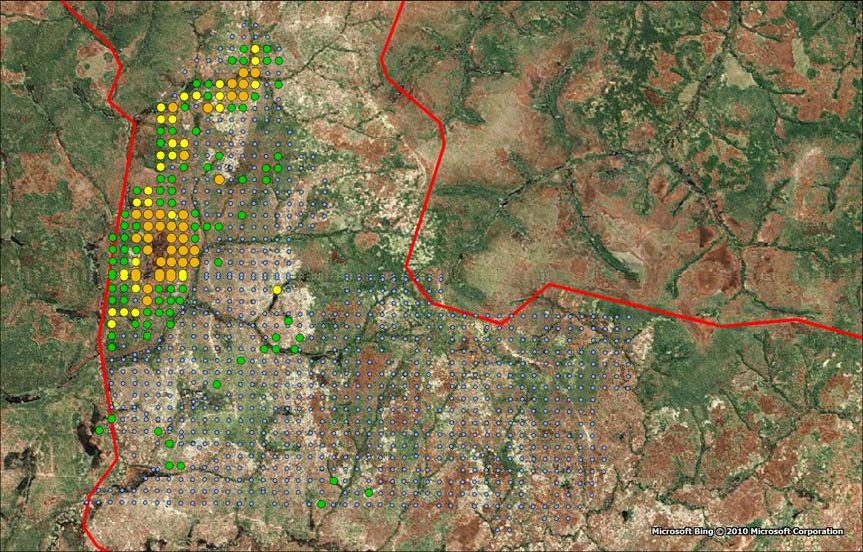 Satellite view of the Jimbe licence area with superimposed soil geochemistry sampling